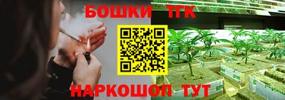 Альфа ПВП Лесосибирск