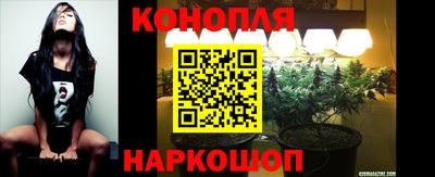 Альфа ПВП Лесосибирск