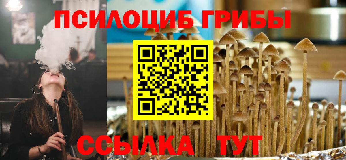 Псилоцибиновые грибы мухоморы Карпинск